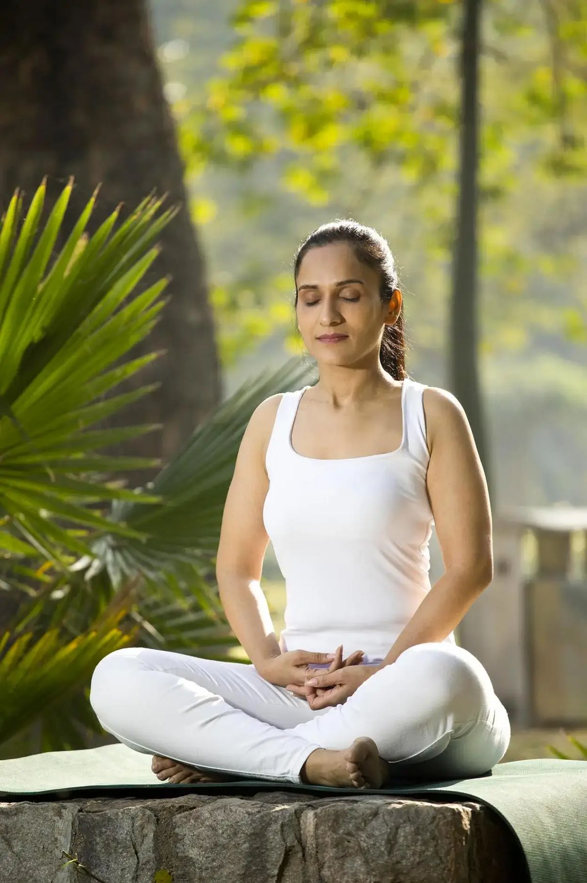 Hatha Yoga Practice
